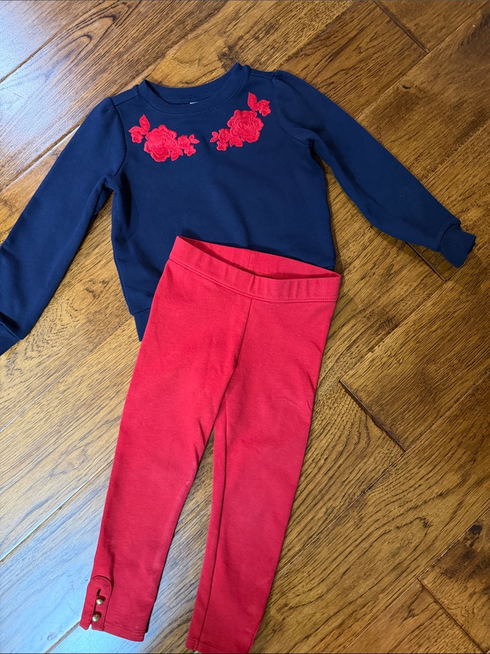 Janie and Jack Navy Sweatshirt with Red Floral Embroidered Detail & Red Leggings